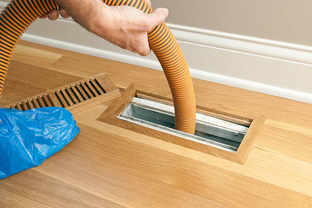 Best Air Duct Sanitizing Services  in Onalaska, WI